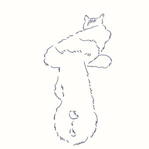 〈Untitled〉イラストレーター 鳥屋 菜々子 のイラスト | Untitled