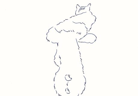 〈Untitled〉イラストレーター 鳥屋 菜々子 のイラスト | Untitled