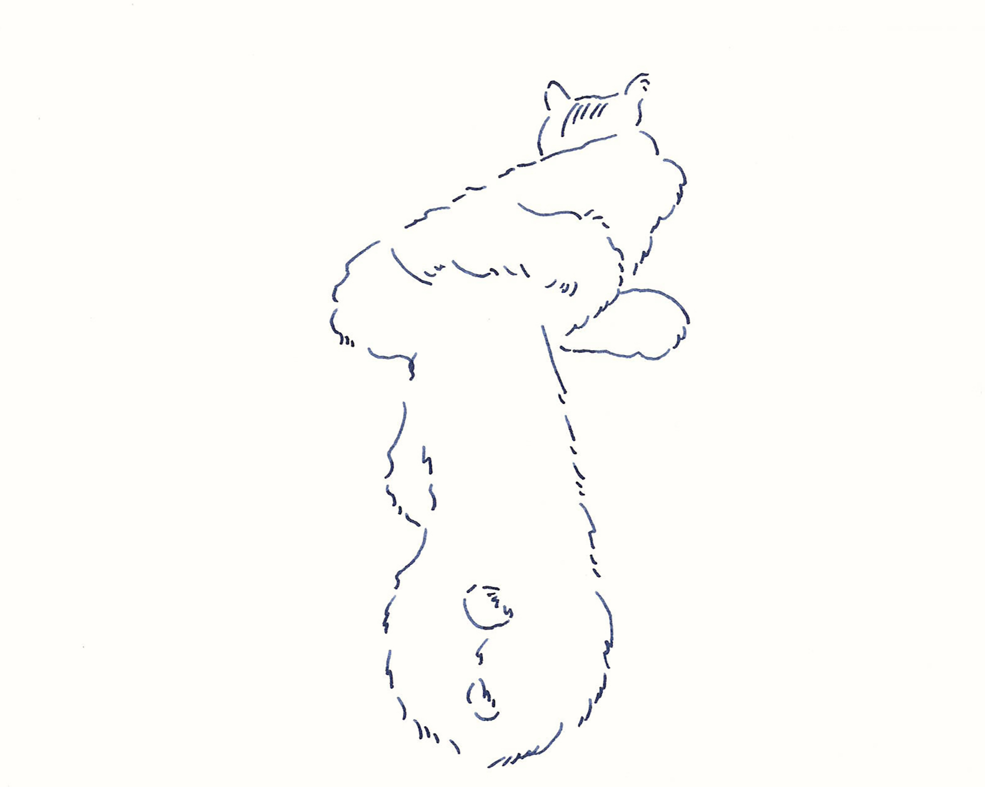 今日１日を、このイラストと。鳥屋 菜々子vol.10