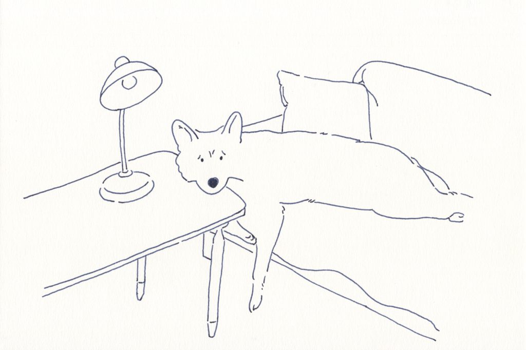 〈溶ける犬〉イラストレーター 鳥屋 菜々子 のイラスト