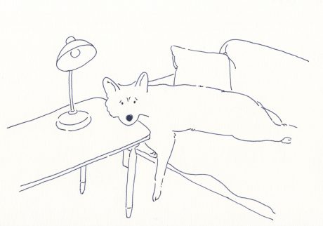 〈溶ける犬〉イラストレーター 鳥屋 菜々子 のイラスト | 溶ける犬