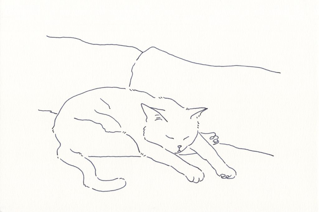 〈Untitled〉イラストレーター 鳥屋 菜々子 のイラスト
