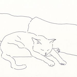〈Untitled〉イラストレーター 鳥屋 菜々子 のイラスト | Untitled