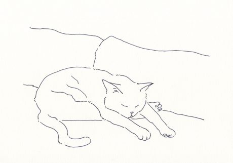 〈Untitled〉イラストレーター 鳥屋 菜々子 のイラスト | Untitled
