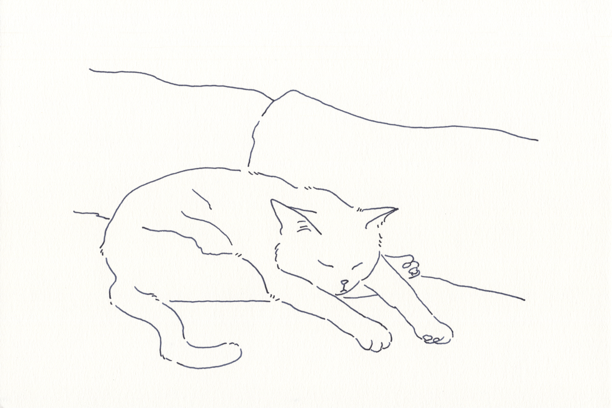 今日１日を、このイラストと。鳥屋 菜々子vol.13