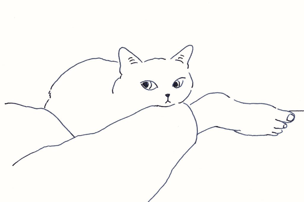 〈そばにいる猫〉イラストレーター 鳥屋 菜々子 のイラスト | そばにいる猫 〈そばにいる猫〉イラストレーター 鳥屋 菜々子 のイラスト