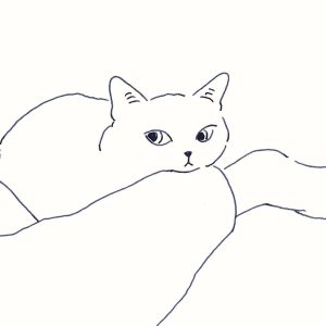 〈そばにいる猫〉イラストレーター 鳥屋 菜々子 のイラスト | そばにいる猫
