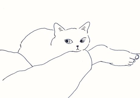 〈そばにいる猫〉イラストレーター 鳥屋 菜々子 のイラスト | そばにいる猫