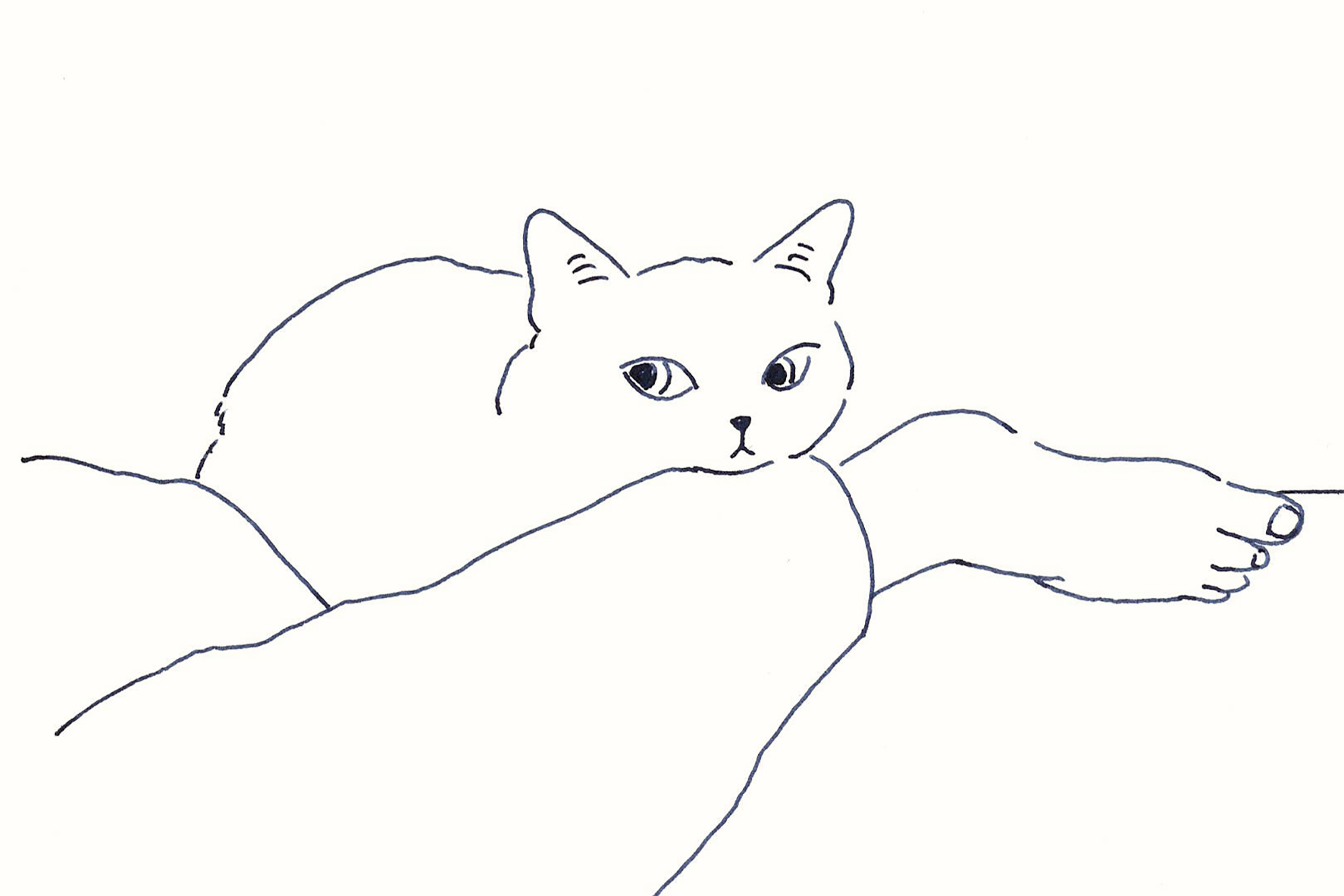 今日１日を、このイラストと。鳥屋 菜々子vol.14