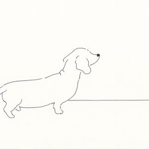 〈Untitled〉イラストレーター 鳥屋 菜々子 のイラスト | Untitled