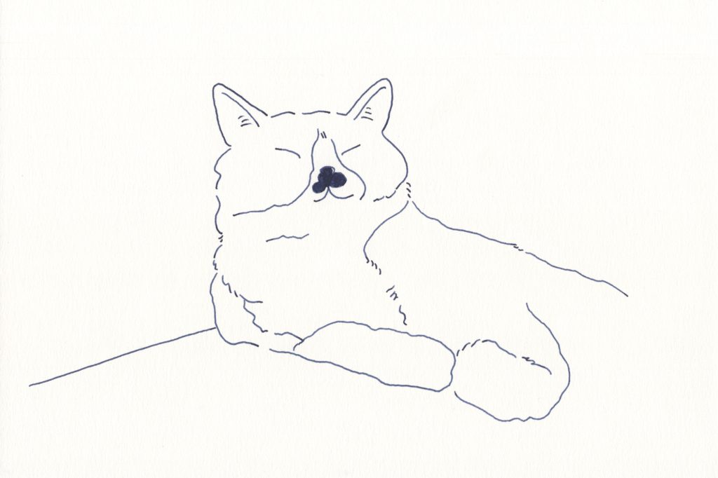 〈昼寝〉イラストレーター 鳥屋 菜々子 のイラスト