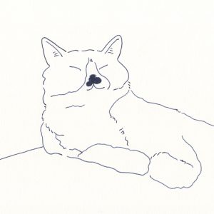〈昼寝〉イラストレーター 鳥屋 菜々子 のイラスト | 昼寝