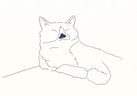 〈昼寝〉イラストレーター 鳥屋 菜々子 のイラスト | 昼寝