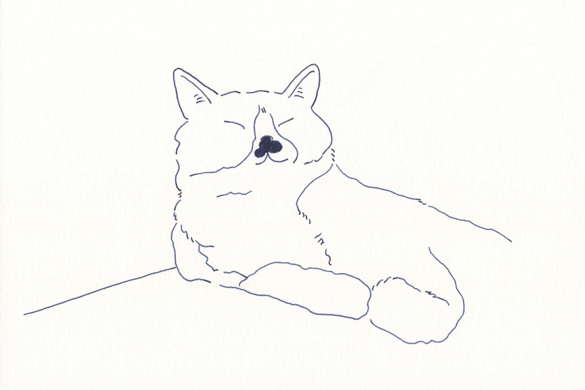 今日１日を、このイラストと。鳥屋 菜々子vol.16
