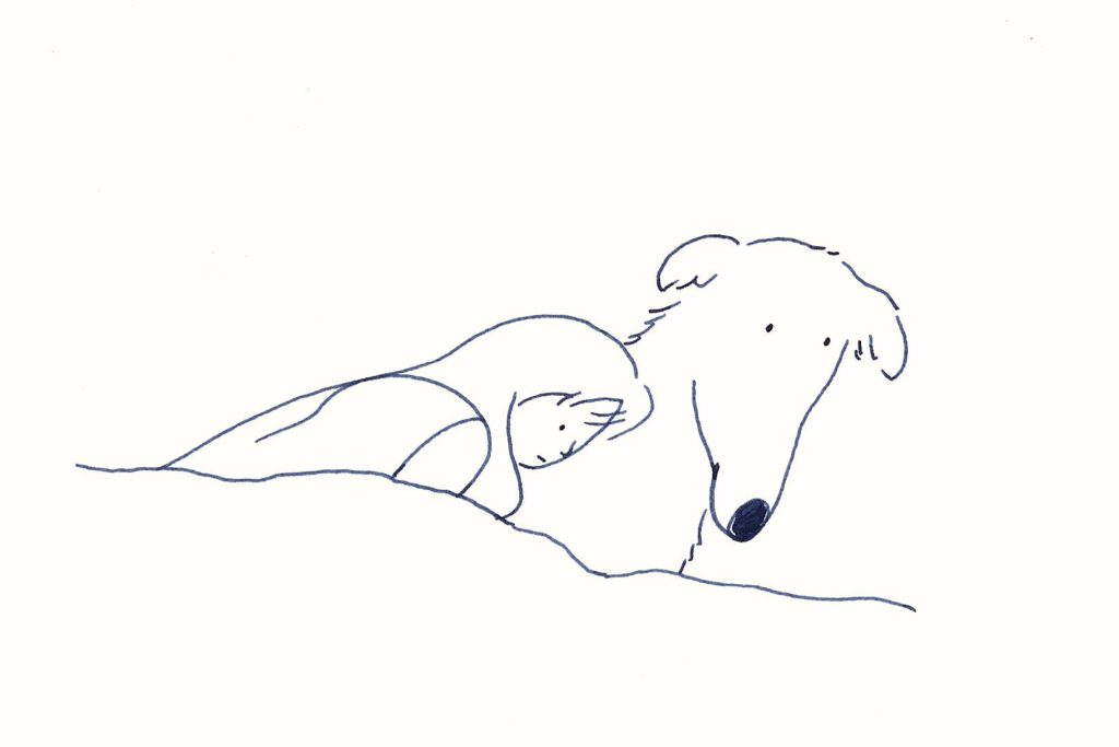 〈Untitled〉イラストレーター 鳥屋 菜々子 のイラスト