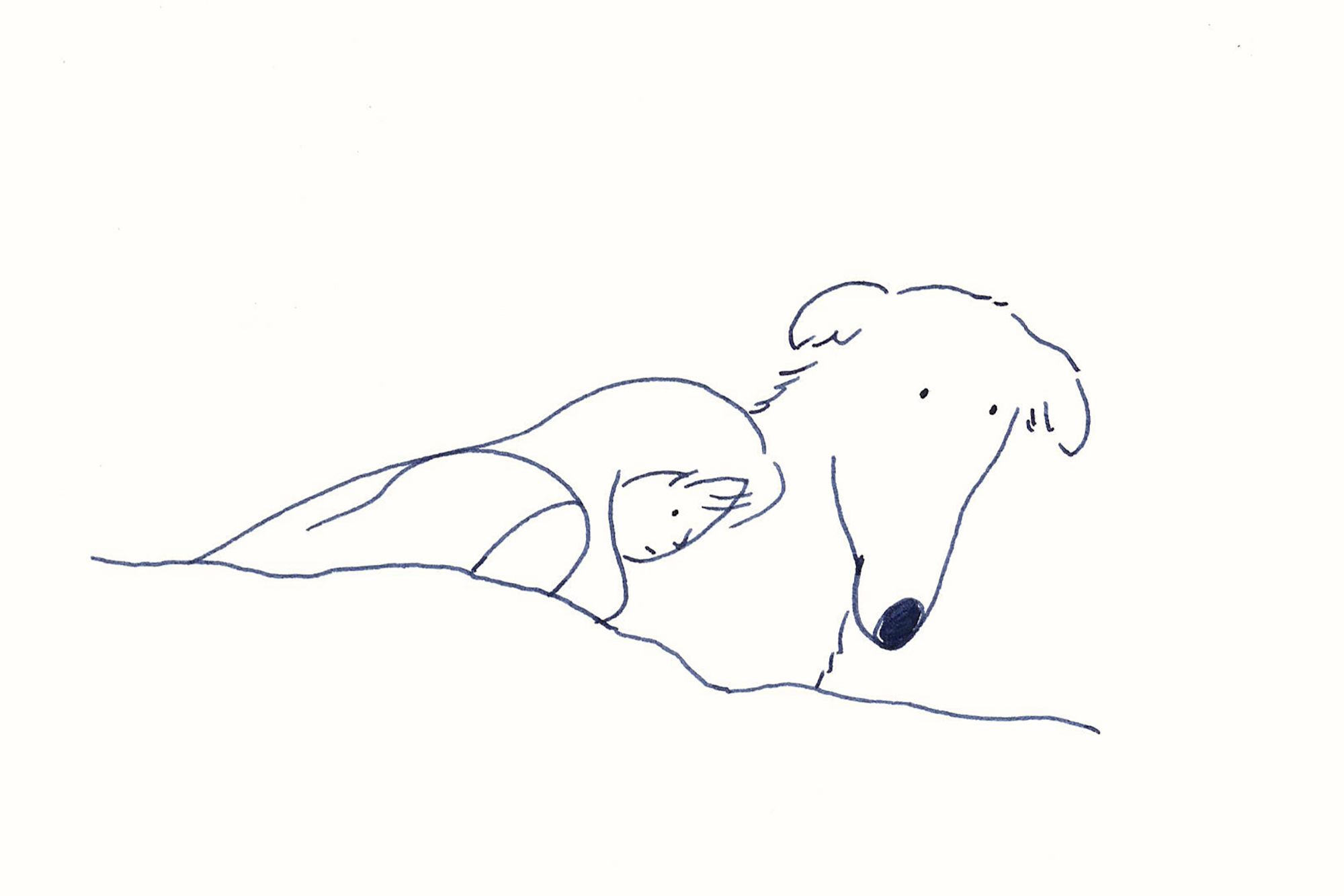 今日１日を、このイラストと。鳥屋 菜々子vol.17