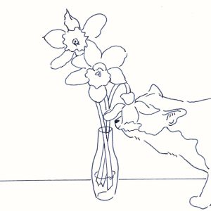 〈花と猫〉イラストレーター 鳥屋 菜々子 のイラスト | 花と猫 〈花と猫〉イラストレーター 鳥屋 菜々子 のイラスト | 花と猫