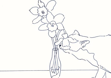 〈花と猫〉イラストレーター 鳥屋 菜々子 のイラスト | 花と猫 〈花と猫〉イラストレーター 鳥屋 菜々子 のイラスト | 花と猫