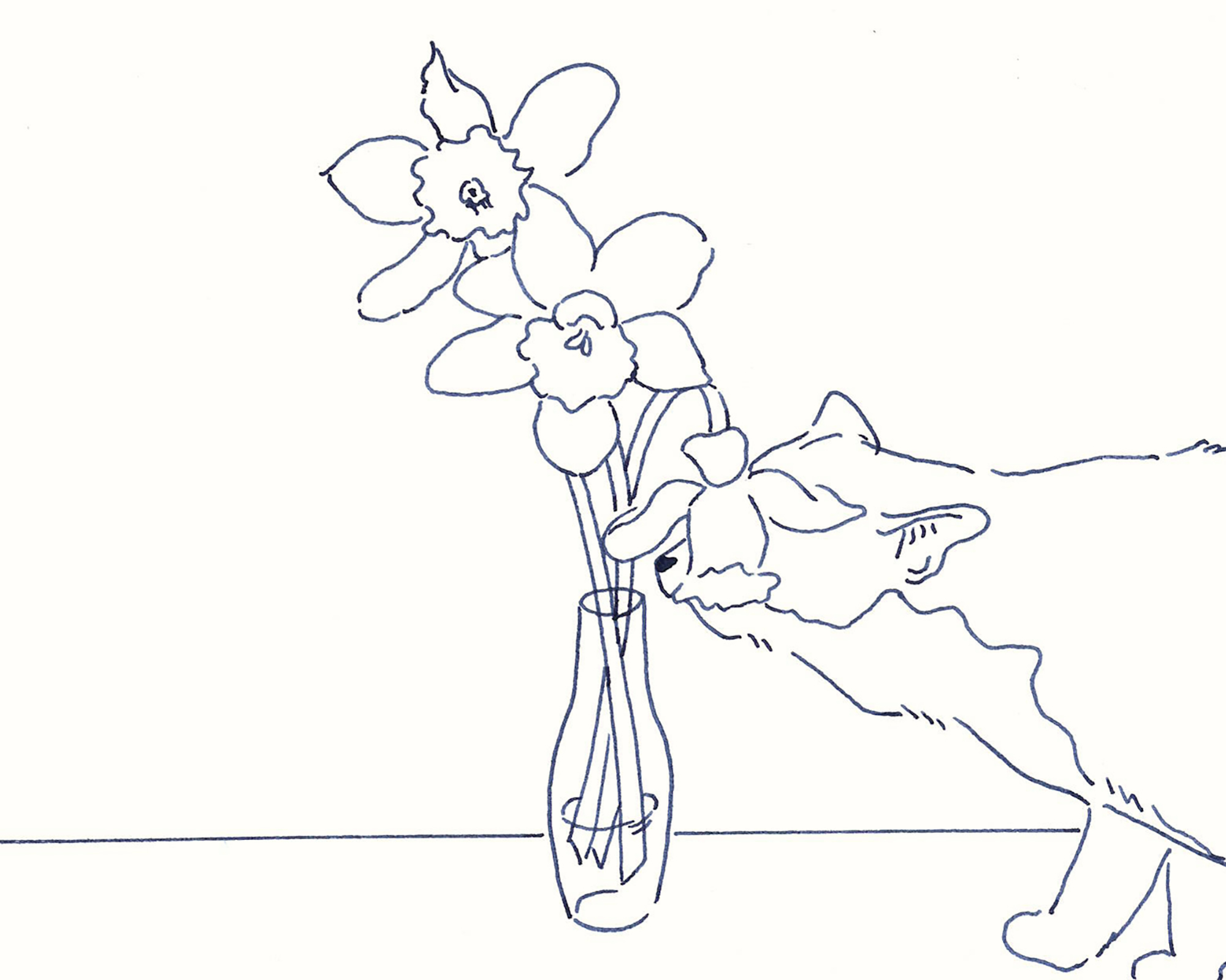 今日１日を、このイラストと。鳥屋 菜々子vol.19