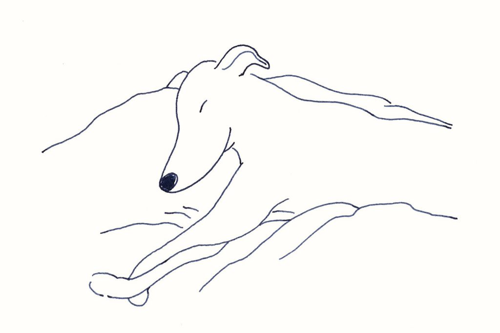〈眠る犬〉イラストレーター 鳥屋 菜々子 のイラスト | 眠る犬 〈眠る犬〉イラストレーター 鳥屋 菜々子 のイラスト