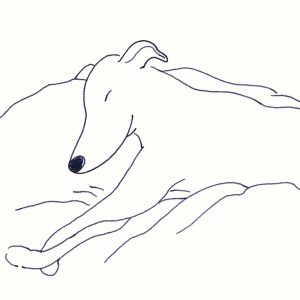 〈眠る犬〉イラストレーター 鳥屋 菜々子 のイラスト | 眠る犬