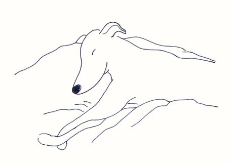 〈眠る犬〉イラストレーター 鳥屋 菜々子 のイラスト | 眠る犬 〈眠る犬〉イラストレーター 鳥屋 菜々子 のイラスト | 眠る犬