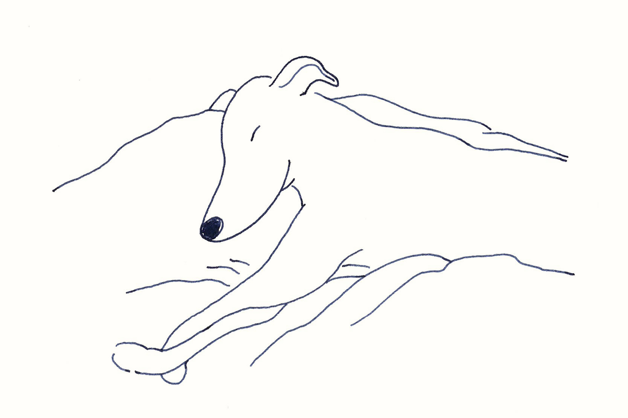 今日１日を、このイラストと。鳥屋 菜々子vol.21