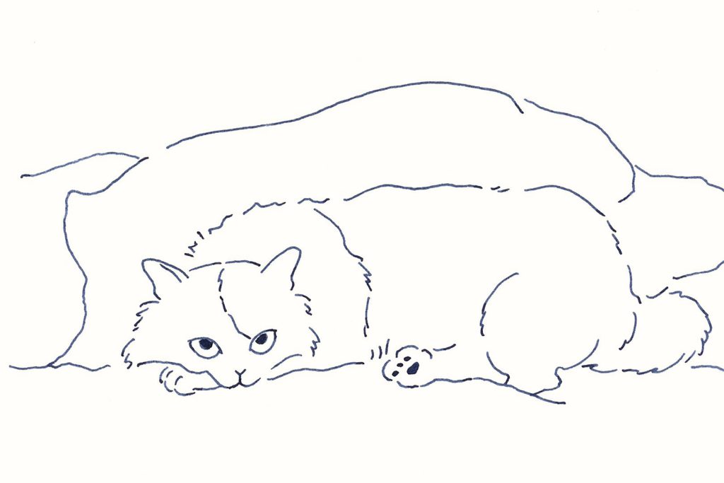 〈待つ猫〉イラストレーター 鳥屋 菜々子 のイラスト | 待つ猫 〈待つ猫〉イラストレーター 鳥屋 菜々子 のイラスト