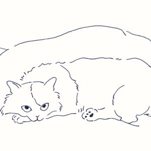 〈待つ猫〉イラストレーター 鳥屋 菜々子 のイラスト | 待つ猫