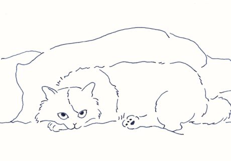 〈待つ猫〉イラストレーター 鳥屋 菜々子 のイラスト | 待つ猫 〈待つ猫〉イラストレーター 鳥屋 菜々子 のイラスト | 待つ猫
