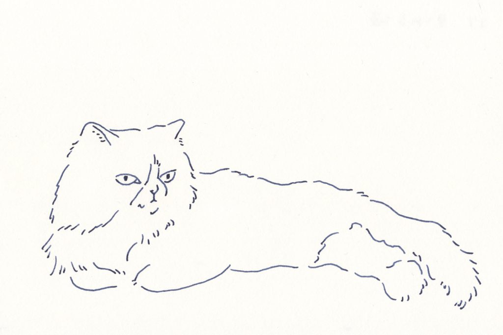 〈見つめる猫〉イラストレーター 鳥屋 菜々子 のイラスト
