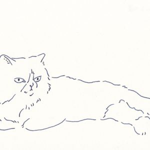 〈見つめる猫〉イラストレーター 鳥屋 菜々子 のイラスト | 見つめる猫