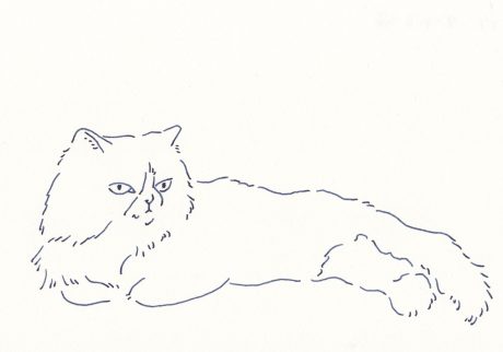 〈見つめる猫〉イラストレーター 鳥屋 菜々子 のイラスト | 見つめる猫 〈見つめる猫〉イラストレーター 鳥屋 菜々子 のイラスト | 見つめる猫