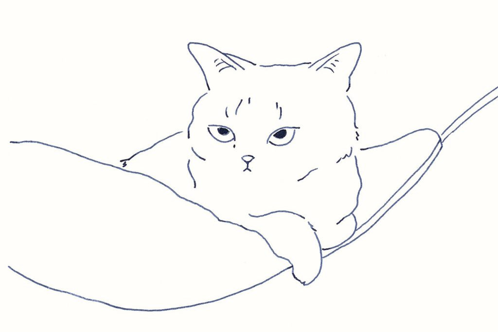 〈ハンモックと猫〉イラストレーター 鳥屋 菜々子 のイラスト