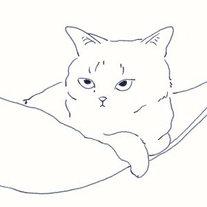 〈ハンモックと猫〉イラストレーター 鳥屋 菜々子 のイラスト | ハンモックと猫