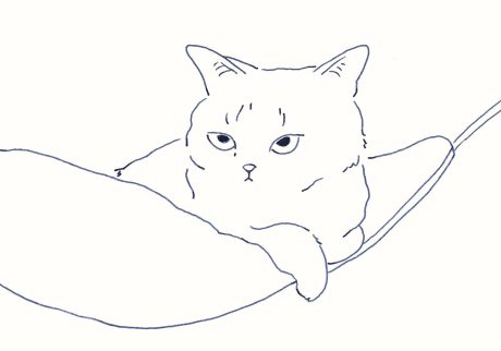 〈ハンモックと猫〉イラストレーター 鳥屋 菜々子 のイラスト | ハンモックと猫