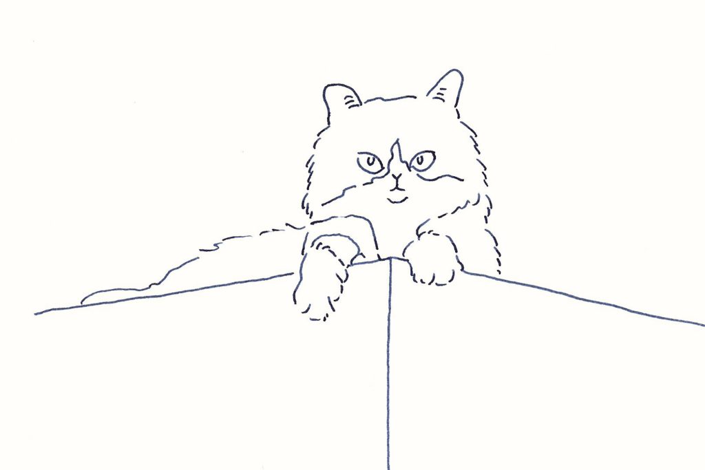 〈角にいる猫〉イラストレーター 鳥屋 菜々子 のイラスト
