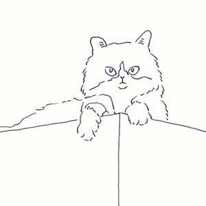 〈角にいる猫〉イラストレーター 鳥屋 菜々子 のイラスト | 角にいる猫