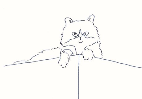 〈角にいる猫〉イラストレーター 鳥屋 菜々子 のイラスト | 角にいる猫