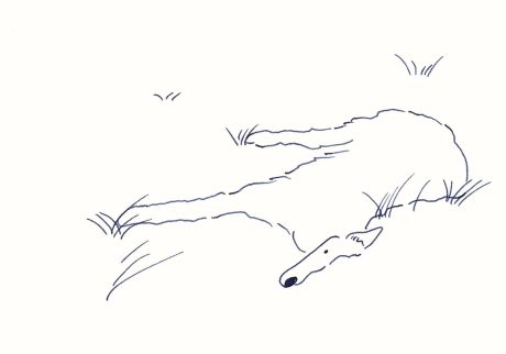 〈寝そべる犬〉イラストレーター 鳥屋 菜々子 のイラスト | 寝そべる犬