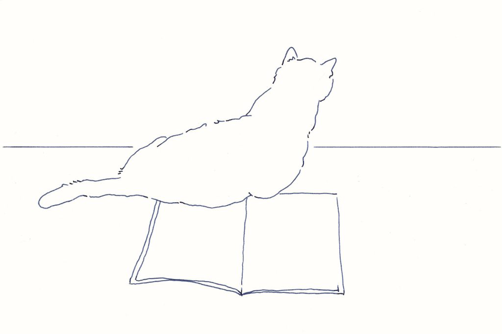 〈本と猫Ⅱ〉イラストレーター 鳥屋 菜々子 のイラスト | 本と猫Ⅱ 〈本と猫Ⅱ〉イラストレーター 鳥屋 菜々子 のイラスト