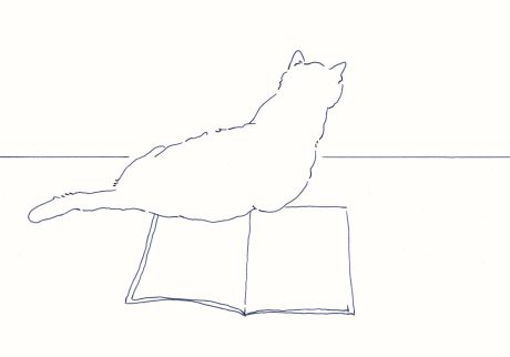 〈本と猫Ⅱ〉イラストレーター 鳥屋 菜々子 のイラスト | 本と猫Ⅱ
