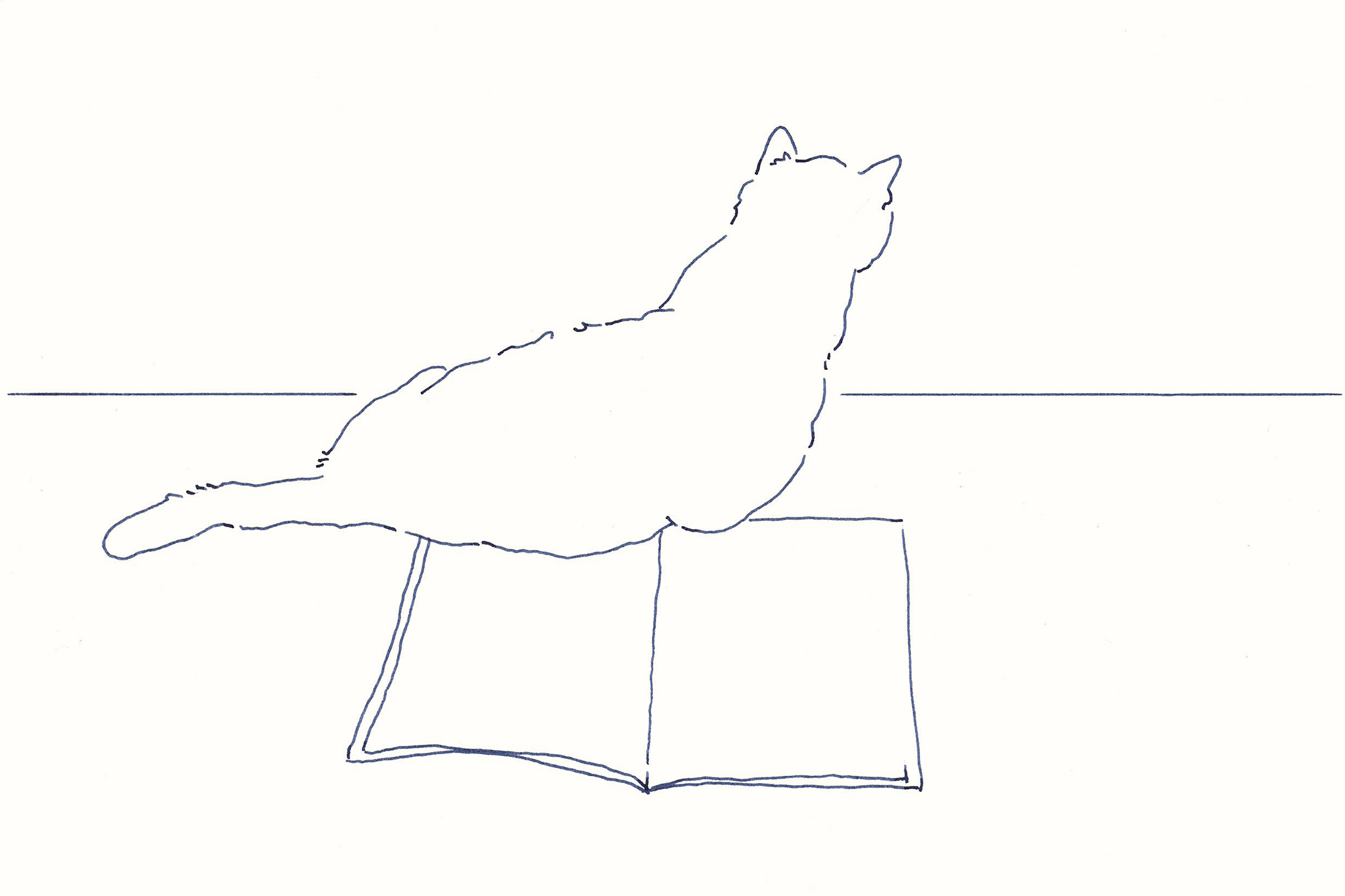 今日１日を、このイラストと。鳥屋 菜々子vol.30