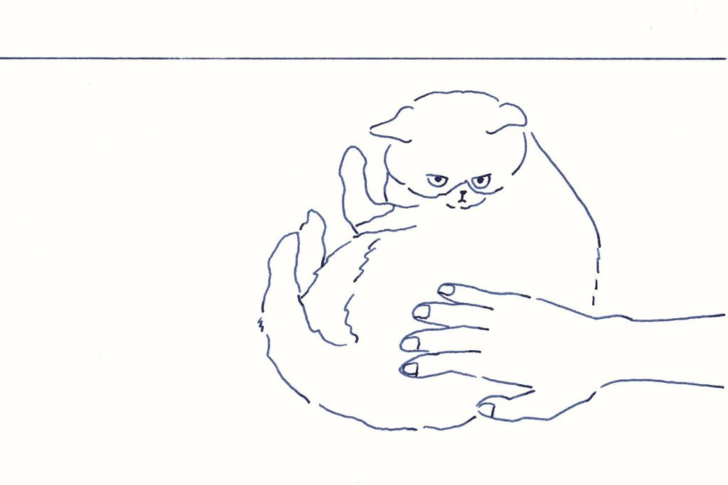 〈気になる猫〉イラストレーター 鳥屋 菜々子 のイラスト