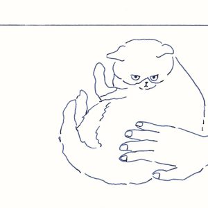 〈気になる猫〉イラストレーター 鳥屋 菜々子 のイラスト | 気になる猫