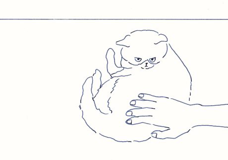 〈気になる猫〉イラストレーター 鳥屋 菜々子 のイラスト | 気になる猫