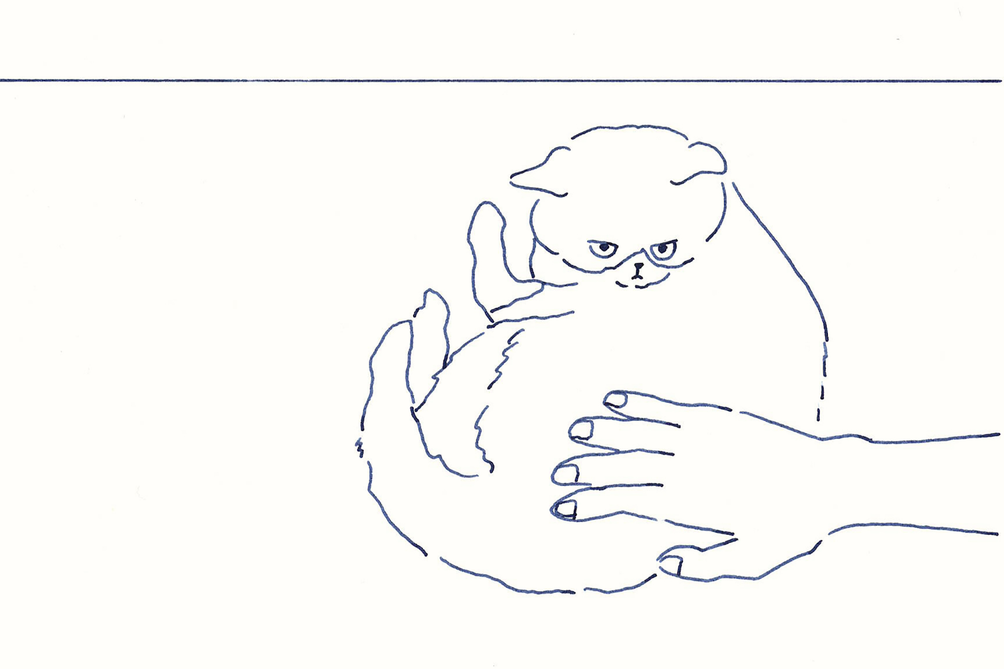 今日1日を、このイラストと。鳥屋 菜々子vol.31