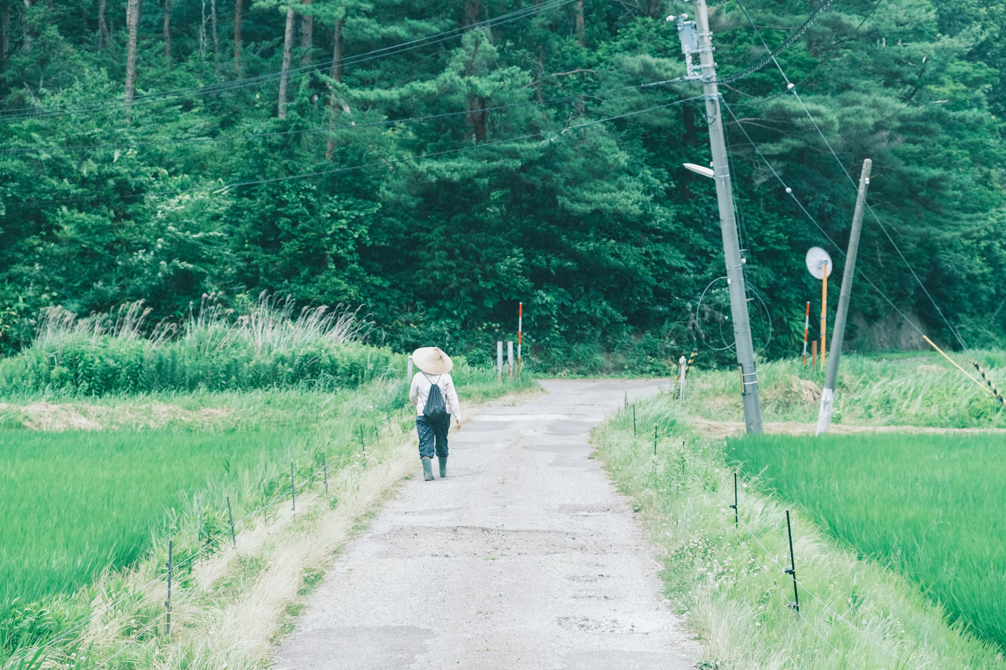 夏、汗と涙のノトヒカリ。春夏秋冬、能登めぐり。写真と文：小川紗良 (アーティスト) #2