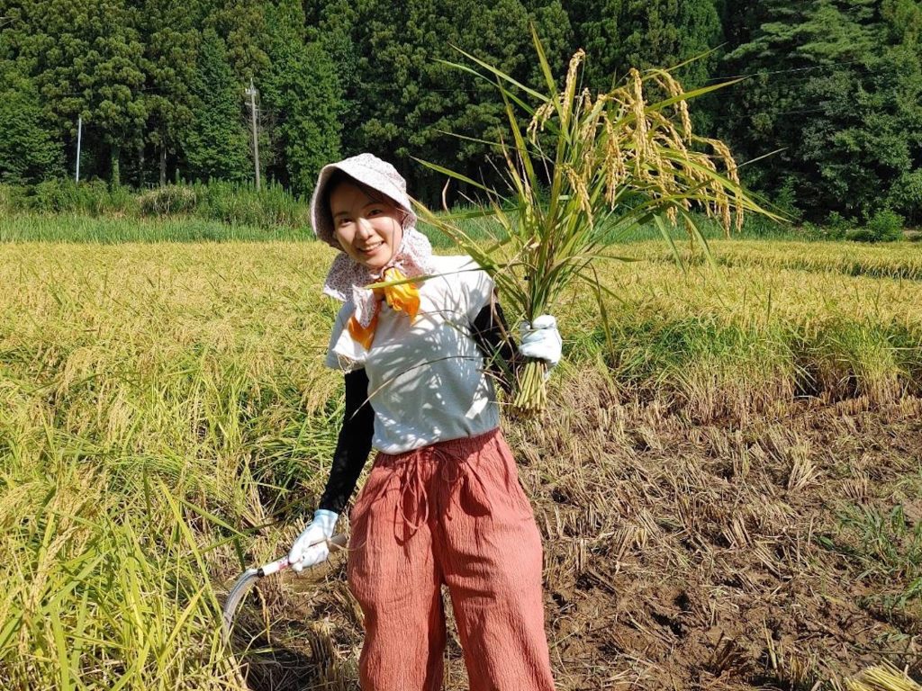 私も手刈りを手伝わせてもらった。