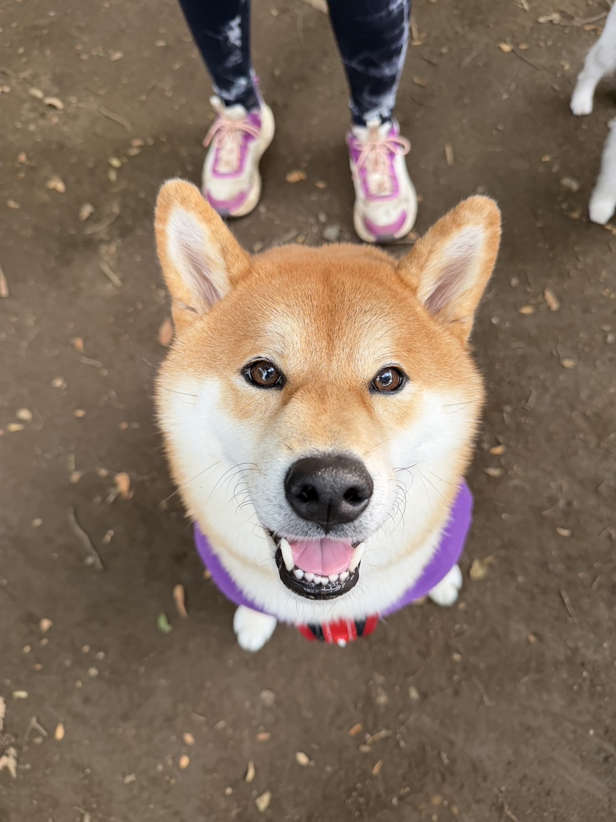 おやつミーテインングは最大のコミュニケーションなんです。
